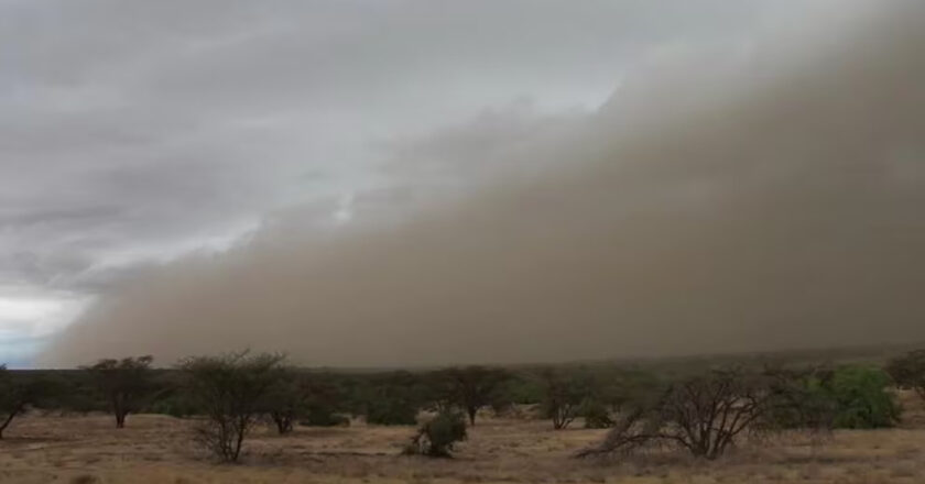 Rigen alertas por vientos y tormentas para CABA, GBA y otras 11 provincias