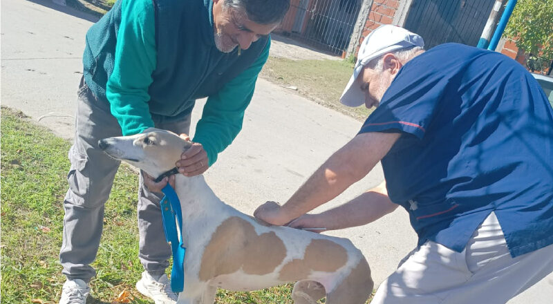 Vacunación antirrábica en el barrio Villa Nueva de Berisso. Cuida tu mascota.