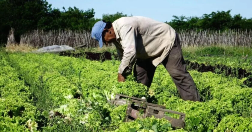 Piden crear un Consejo para fortalecer el cordón frutihortícola