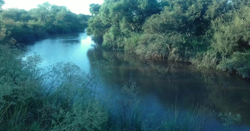 Rescataron a una mujer que había caído a un arroyo de Ensenada y estaba inconsciente