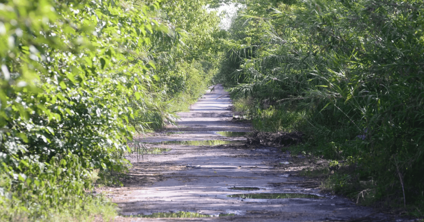 ¿Qué dice el fallo que prohíbe obras en el Camino Negro que conecta Villa Elisa y Punta Lara?