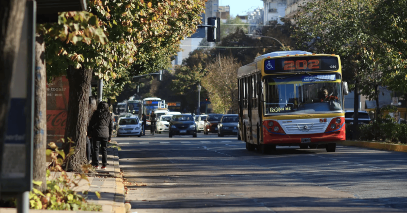 Choque y milagro en Berisso: una nena fue embestida por un auto tras bajar de un micro de la Línea 202