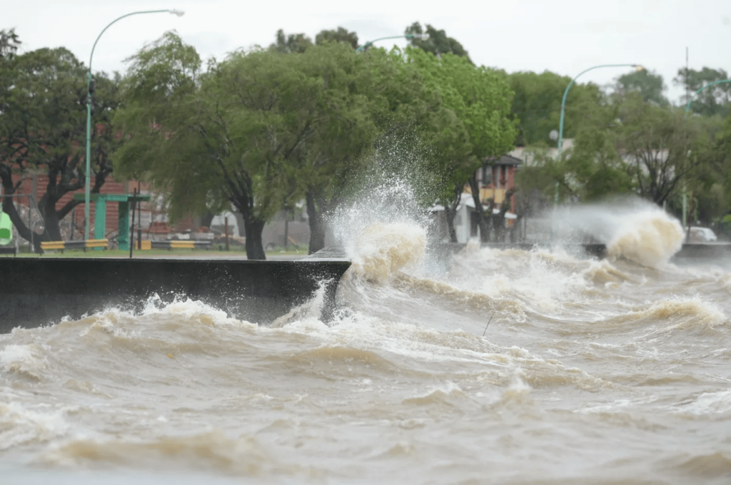 Caminaban por la playa de Berisso, subió el río y terminaron trepados a unos árboles hasta que los rescataron