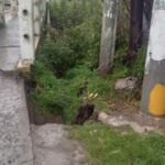 Preocupación por socavón en el puente de la 66