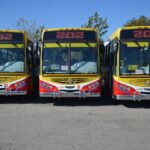 Micros gratis para ir a votar en La Plata, Berisso y Ensenada