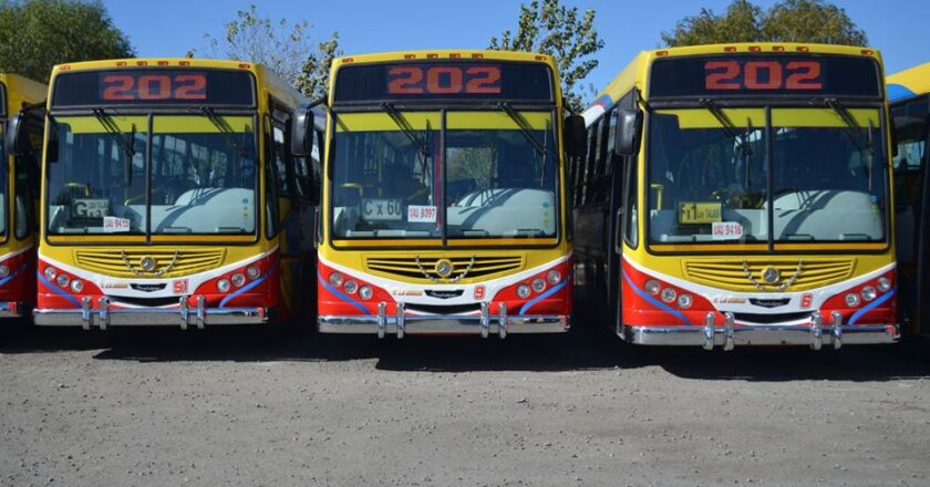 Micros gratis para ir a votar en La Plata, Berisso y Ensenada