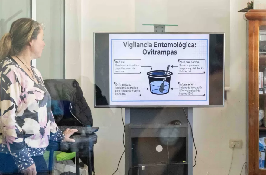 Reunión de trabajo para fortalecer la prevención del dengue